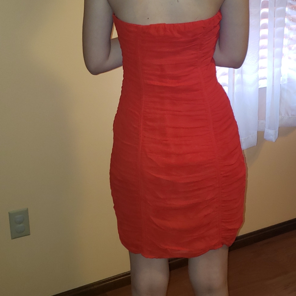Express Dress - Picture 3 of 3